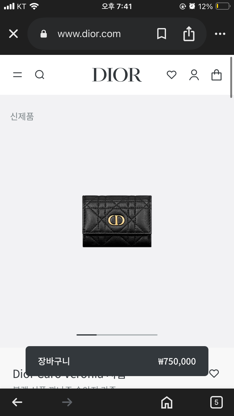 디올 지갑