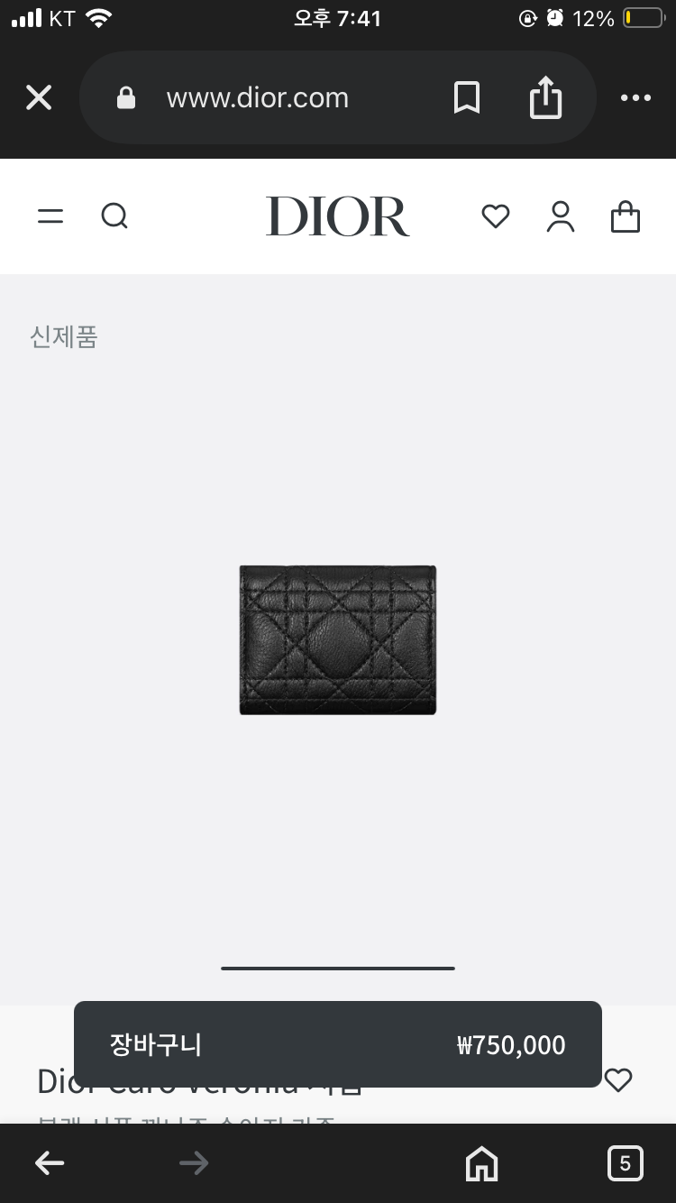 디올 지갑